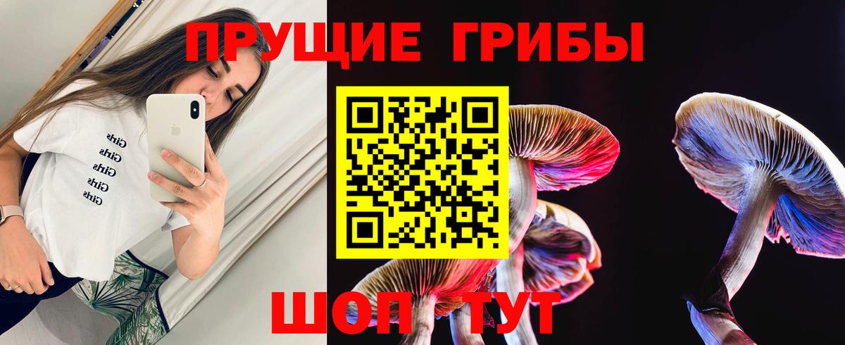 Псилоцибиновые грибы мицелий Амурск